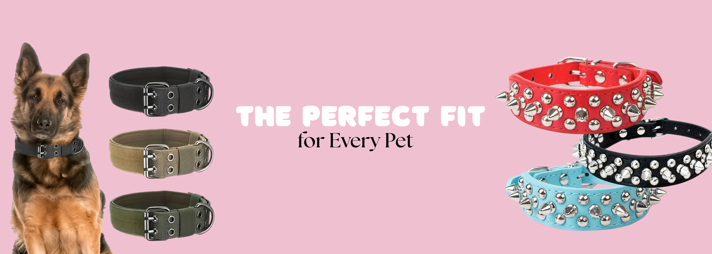 🐕 More Than Just a Collar — It’s Your Dog’s Identity