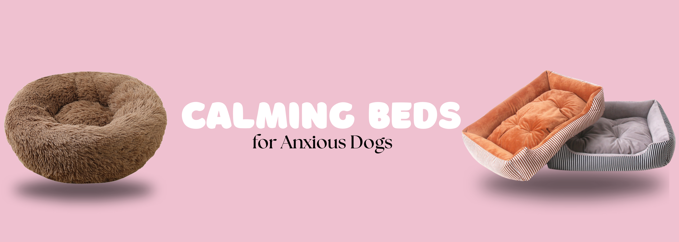 🐶 Why Every Dog Deserves a Comfortable Bed – And How to Choose the Perfect One