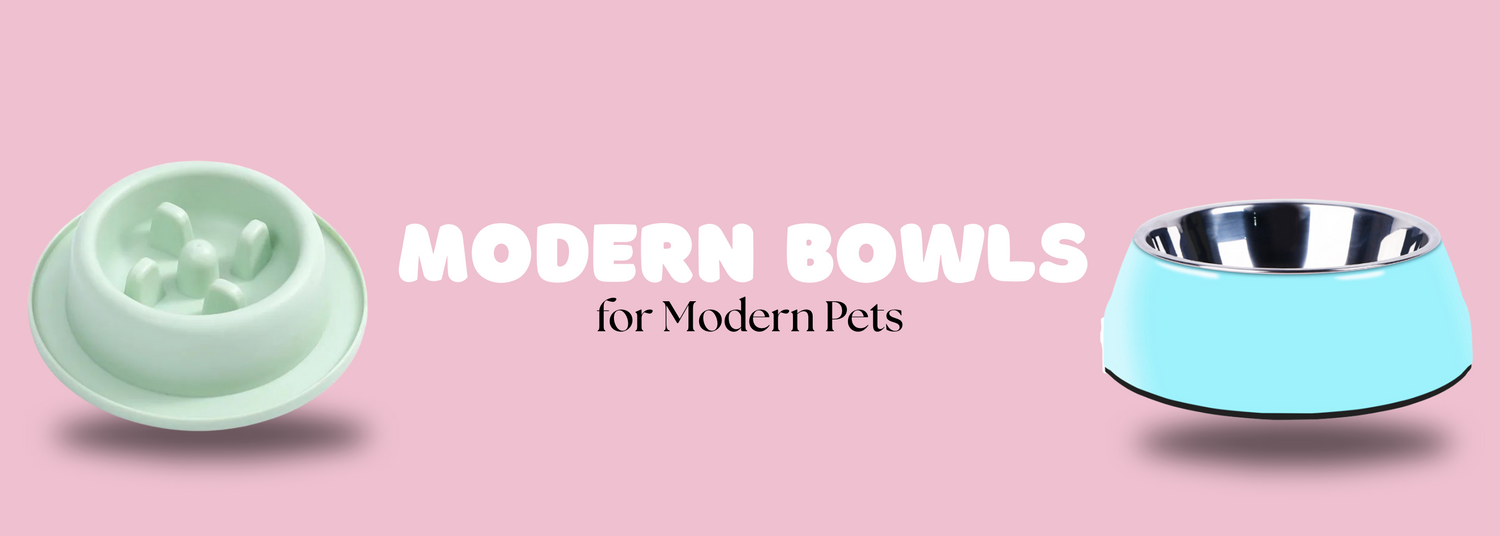 🥣 Why the Right Pet Bowl Matters More Than You Think