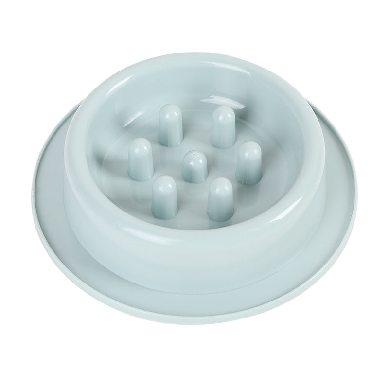 Slow Feeder Dog Bowl