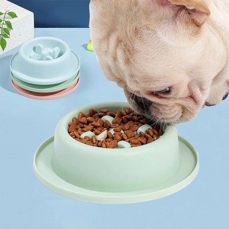 Slow Feeder Dog Bowl