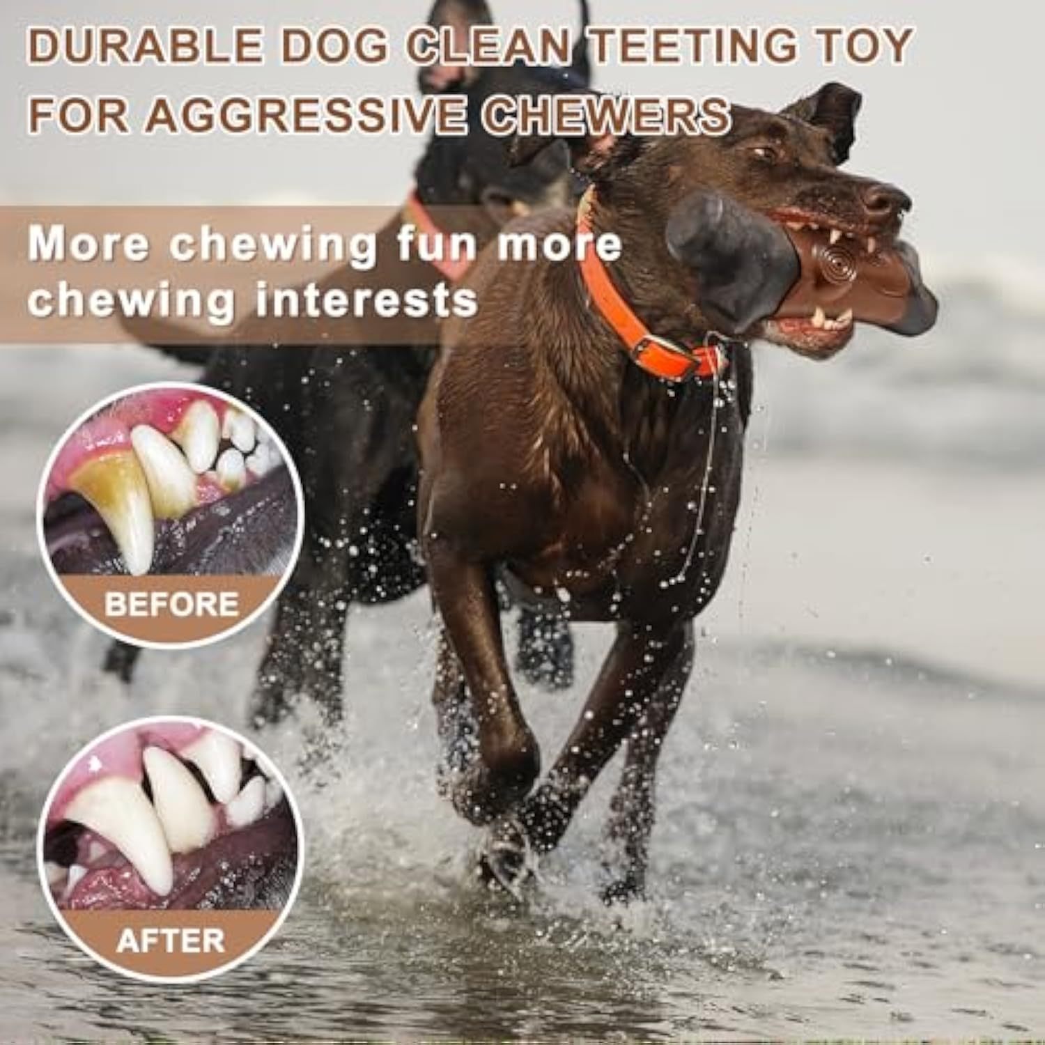 Durable Dog Chew Toys for Aggressive Chewers